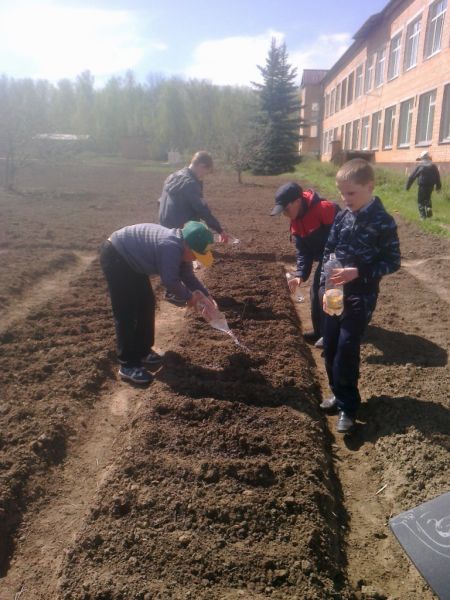 Самый трудолюбивый класс! Самый трудолюбивый класс!