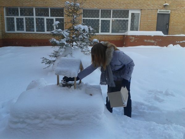 Фотоальбом 29.01.2014 Фотоальбом 29.01.2014